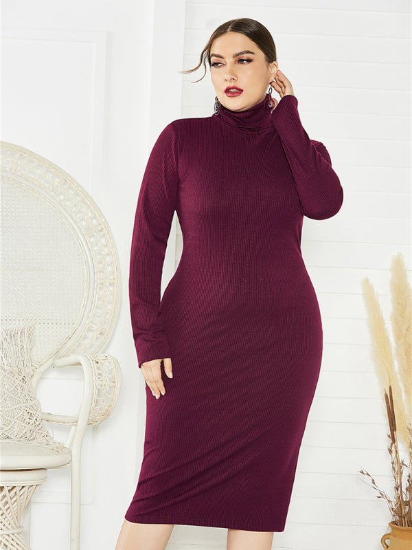 Knit Turtleneck Long Sleeve Dress - ElegantAlpha