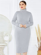 Knit Turtleneck Long Sleeve Dress - ElegantAlpha