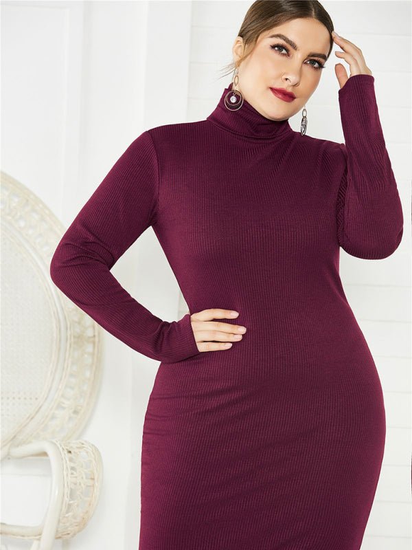 Knit Turtleneck Long Sleeve Dress - ElegantAlpha