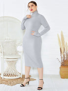 Knit Turtleneck Long Sleeve Dress - ElegantAlpha