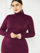 Knit Turtleneck Long Sleeve Dress - ElegantAlpha