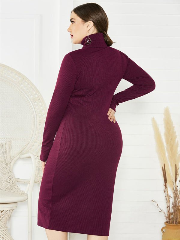 Knit Turtleneck Long Sleeve Dress - ElegantAlpha