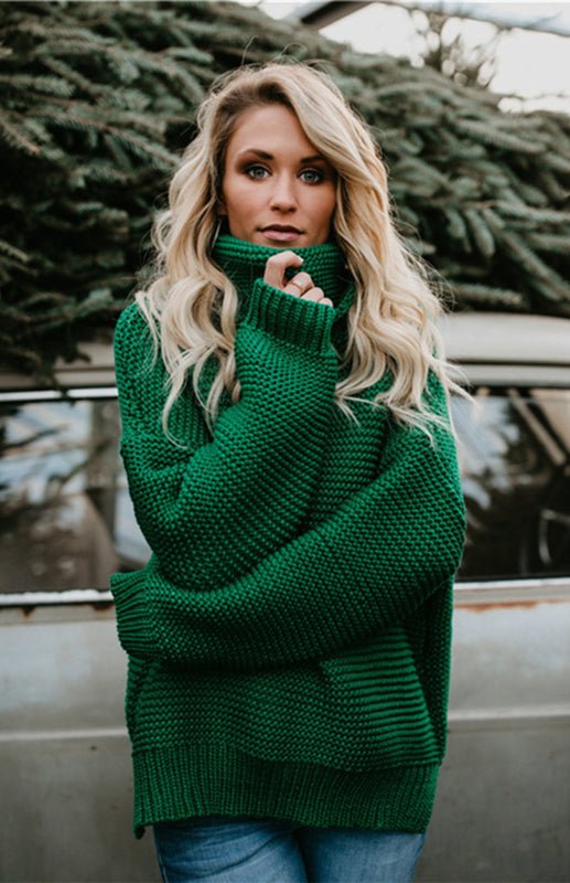 Thick Knit Turtle Neck Pullover Sweater - ElegantAlpha®