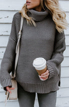 Thick Knit Turtle Neck Pullover Sweater - ElegantAlpha®