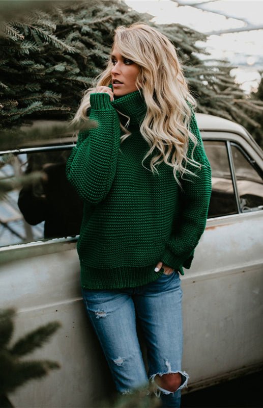 Thick Knit Turtle Neck Pullover Sweater - ElegantAlpha®